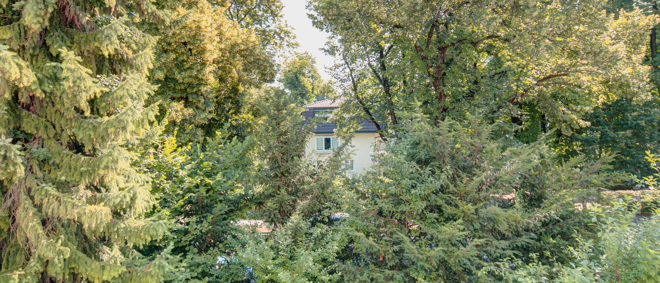 Wohnung München Nymphenburg 05 Aussicht 7938