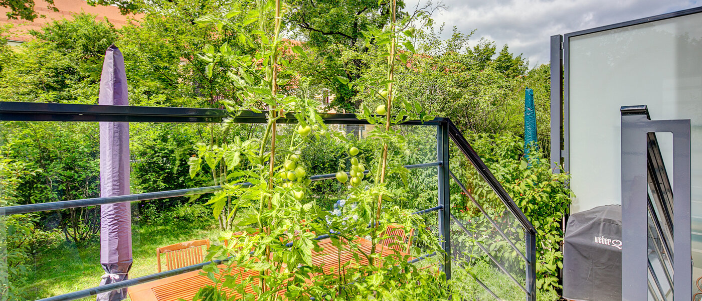 Haus München Schwabing-West 01 Garten 7998