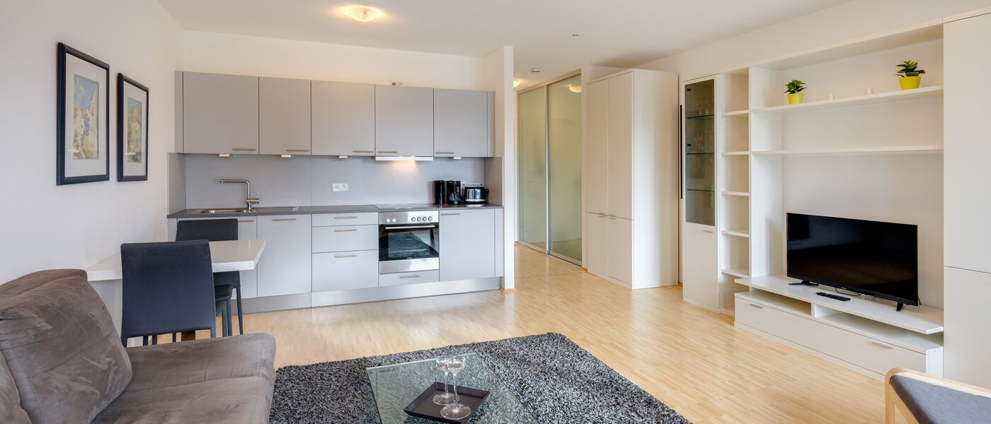 Wohnung München Obergiesing 02 Wohnbereich 8005