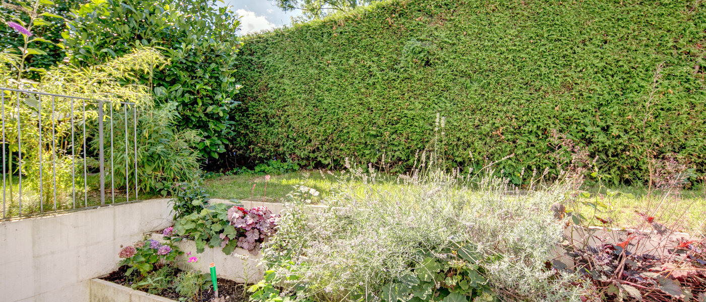 Wohnung München Nymphenburg 02 Garten 8077