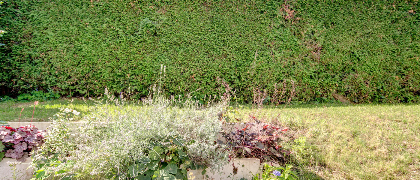 Wohnung München Nymphenburg 03 Garten 8077