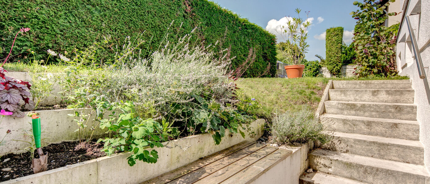 Wohnung München Nymphenburg 02 Terrasse 8077