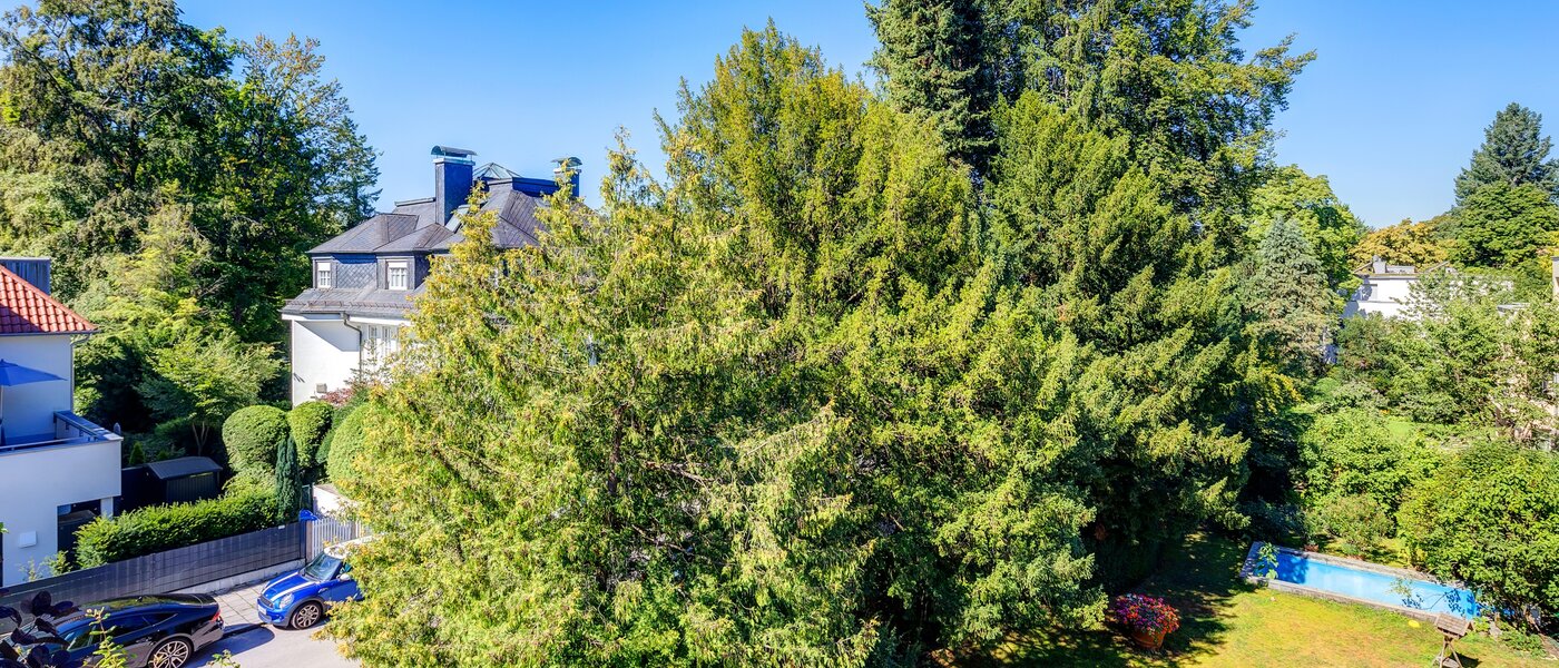 Dachgeschosswohnung München Menterschwaige 01 Aussicht 8181