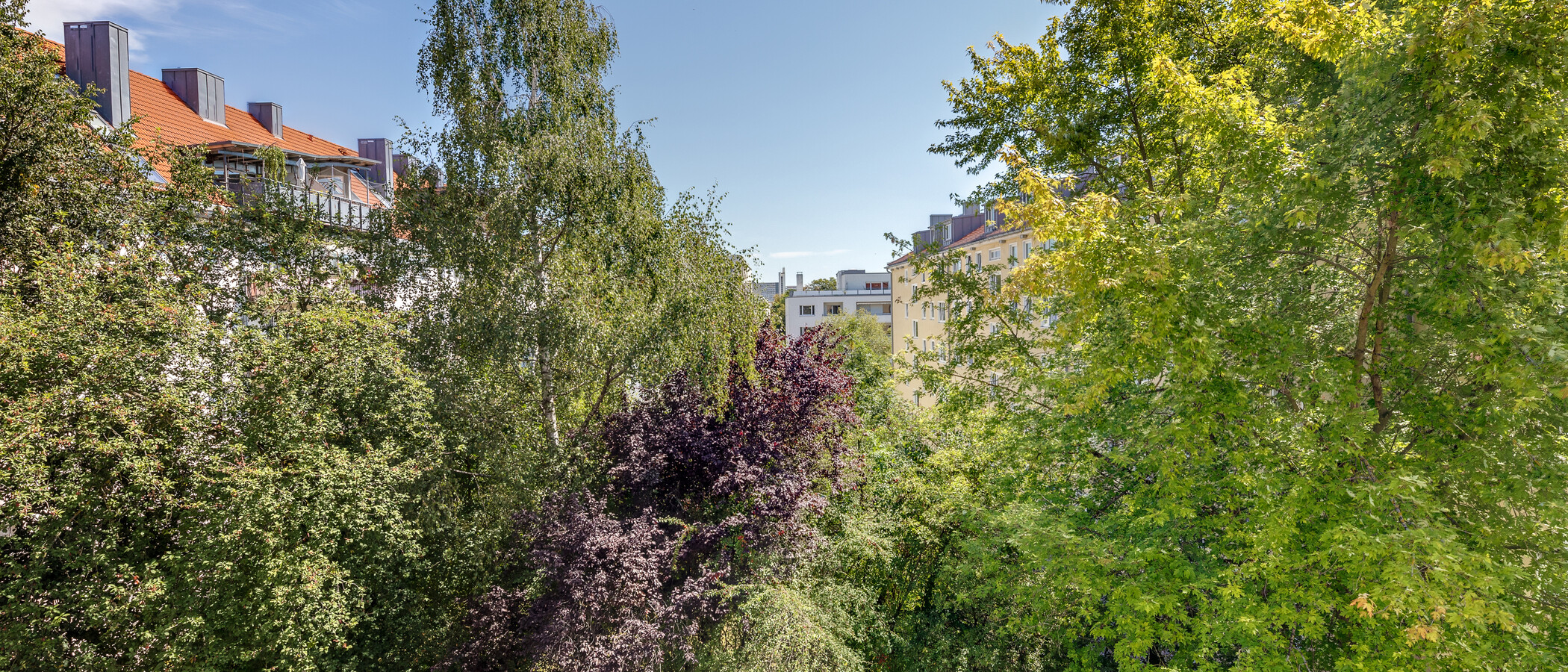 Wohnung München Schwabing 02 Aussicht 8204