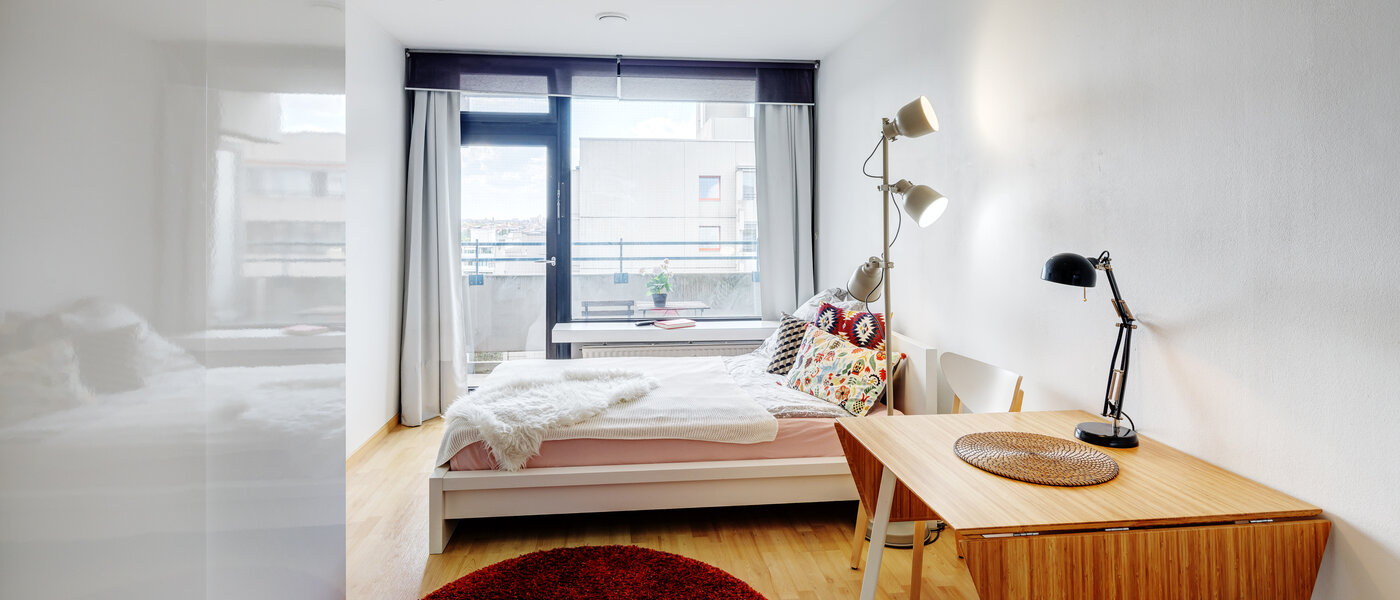 Apartment München Haidhausen 01 Wohnbereich 8225