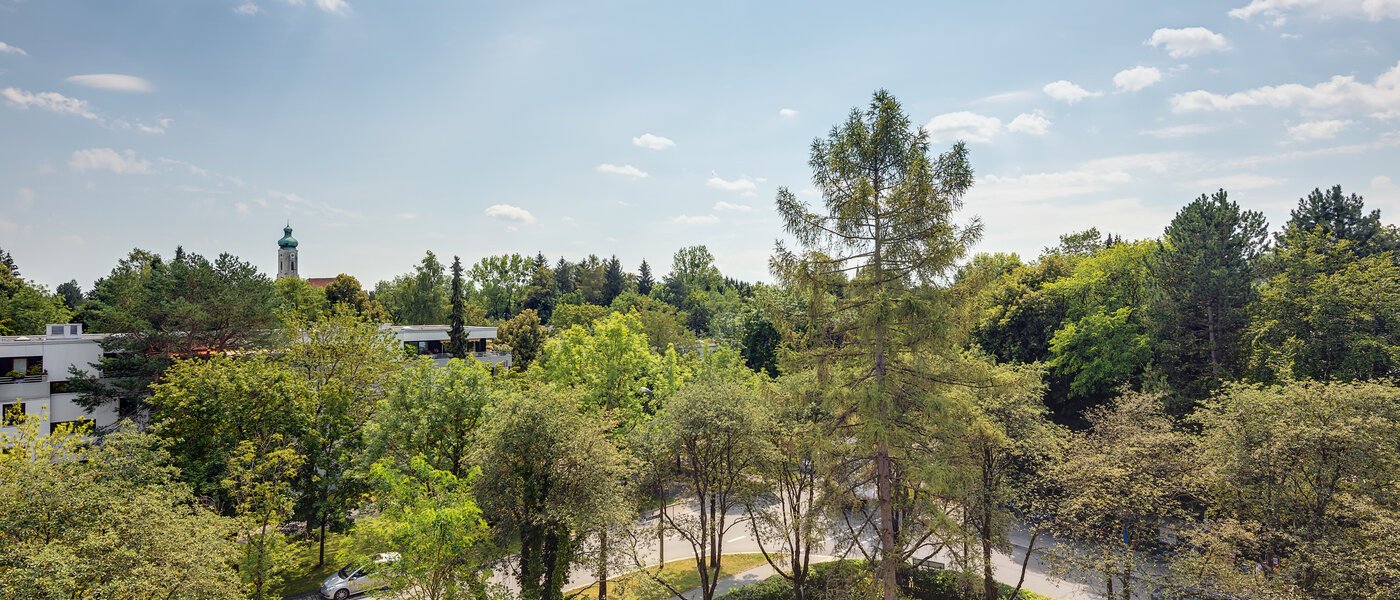 Dachgeschosswohnung München Solln 02 Aussicht 8282