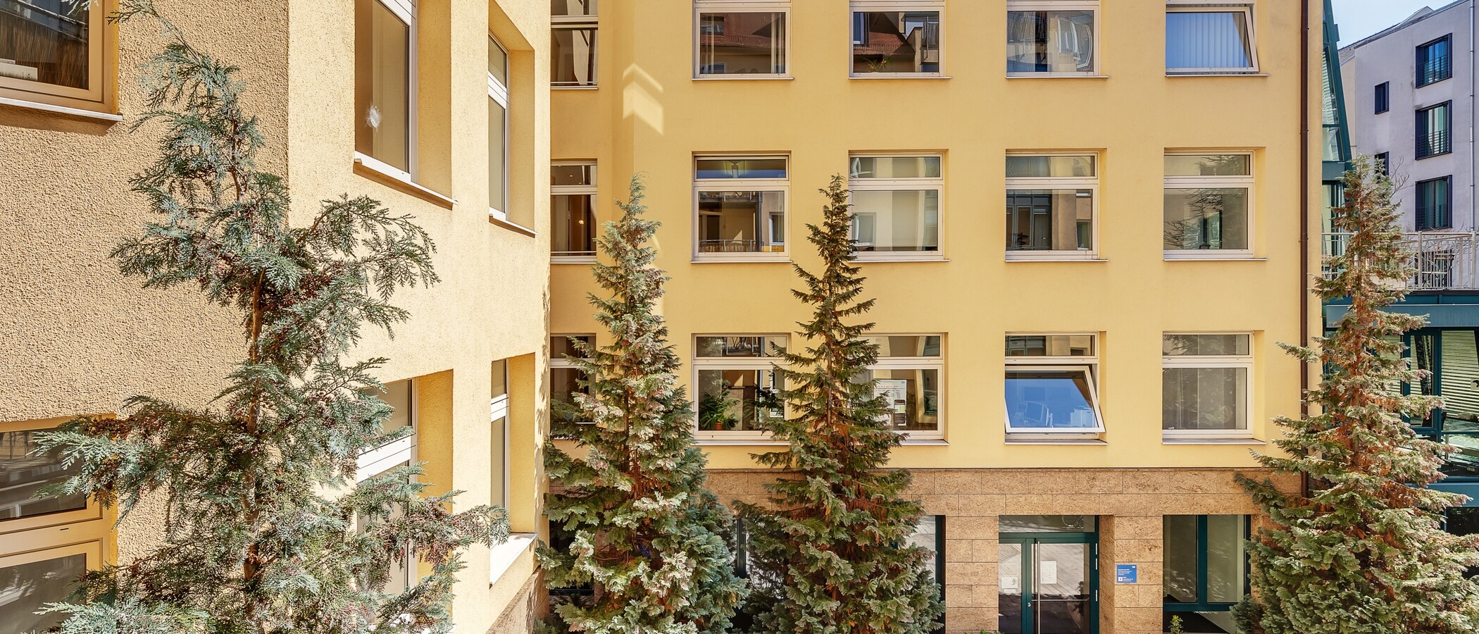 Wohnung München Maxvorstadt 01 Aussicht 83