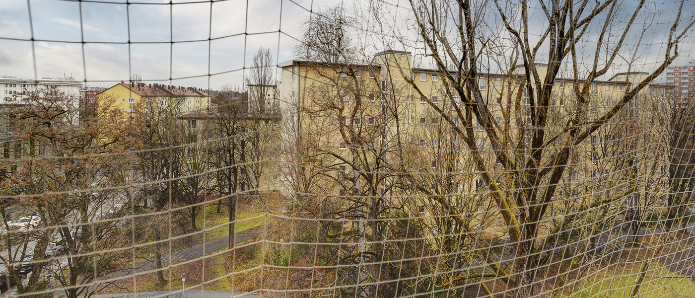 Wohnung München Bogenhausen 02 Aussicht 8368