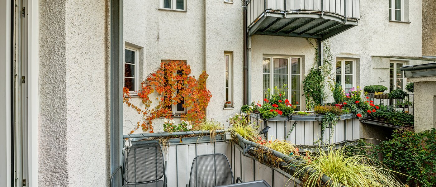 Wohnung München Maxvorstadt - Universitätsviertel 01 Aussicht 8558