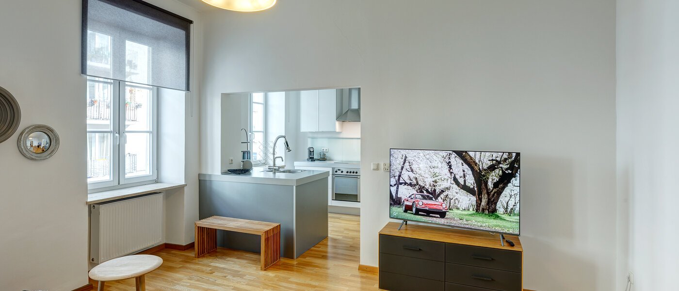 Wohnung München Maxvorstadt - Universitätsviertel 04 Wohnzimmer 8558