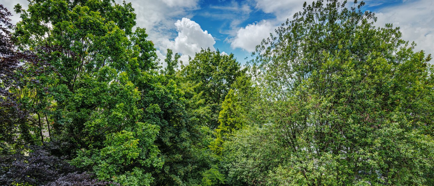 Wohnung München Ramersdorf 02 Aussicht 8588