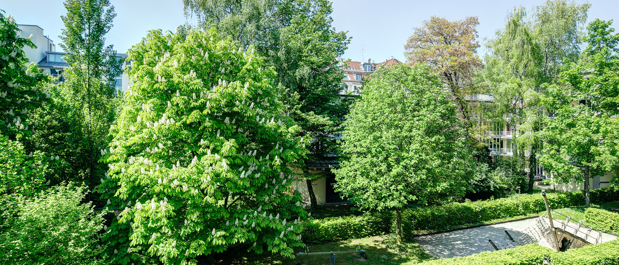 Wohnung München Maxvorstadt - Universitätsviertel 02 Aussicht 8629