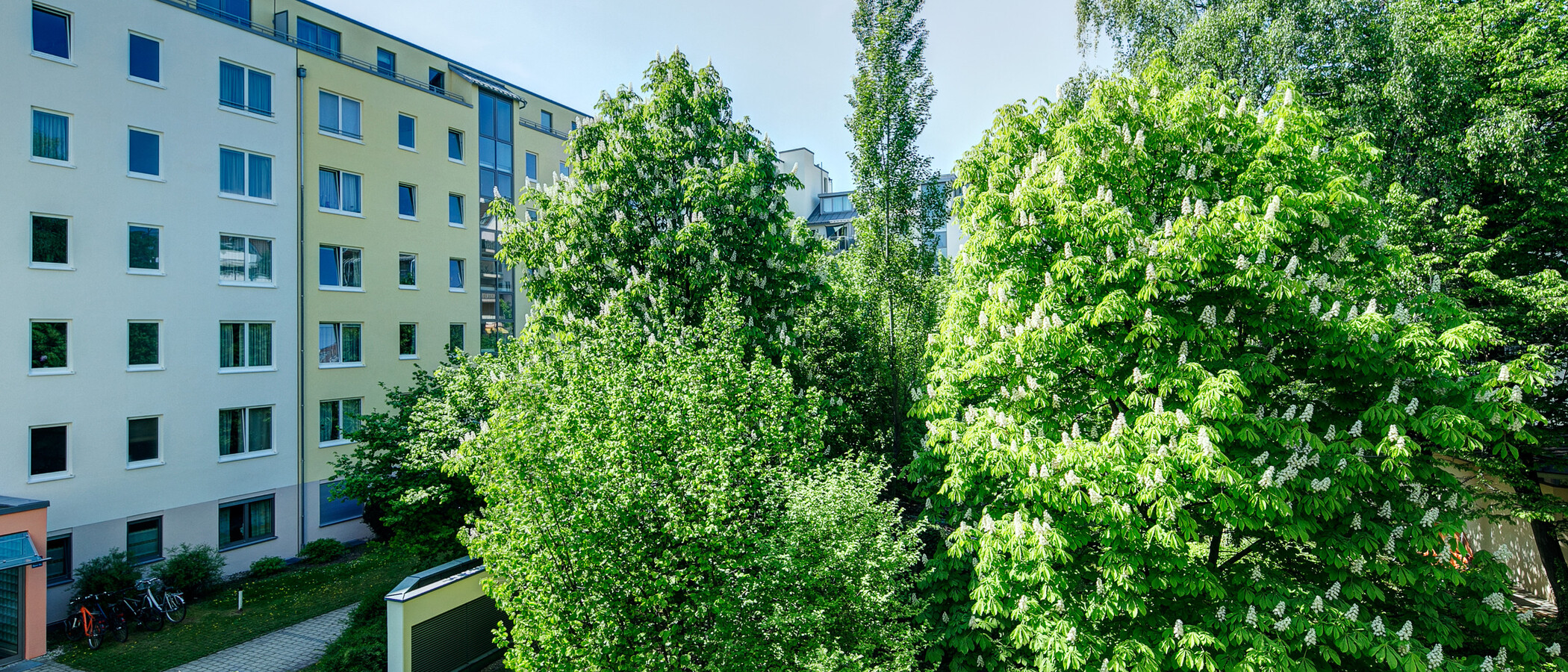 Wohnung München Maxvorstadt - Universitätsviertel 03 Aussicht 8629