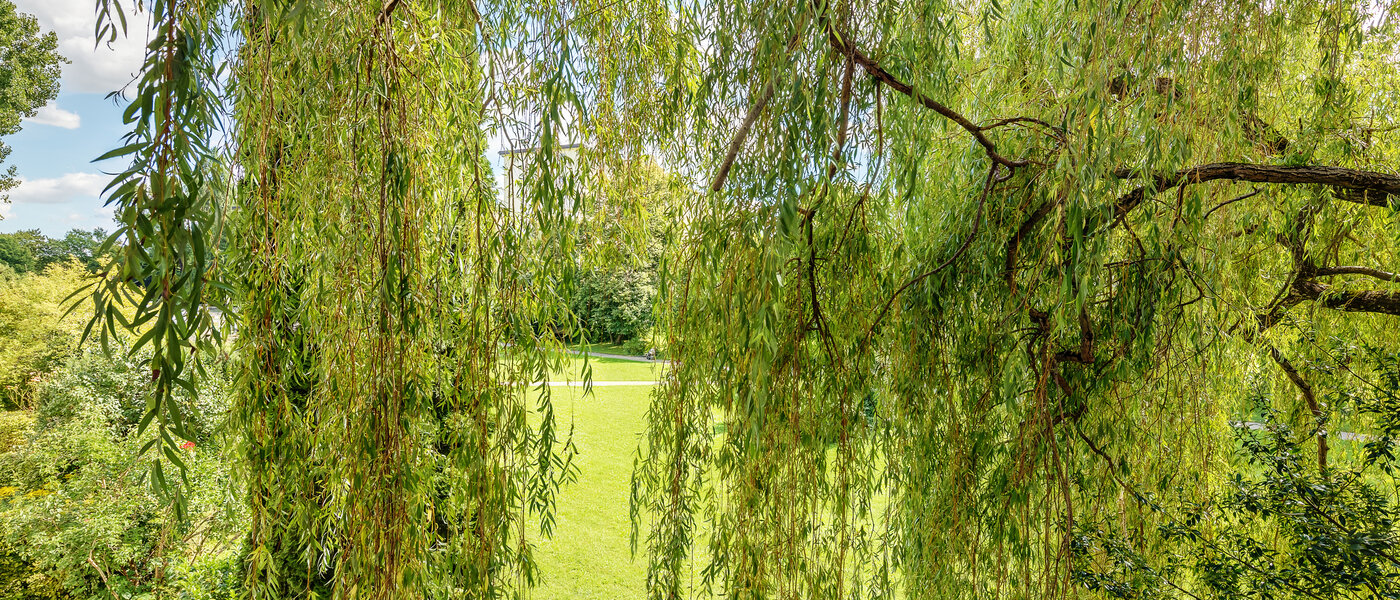 Wohnung München Parkstadt Bogenhausen 02 Aussicht 8635