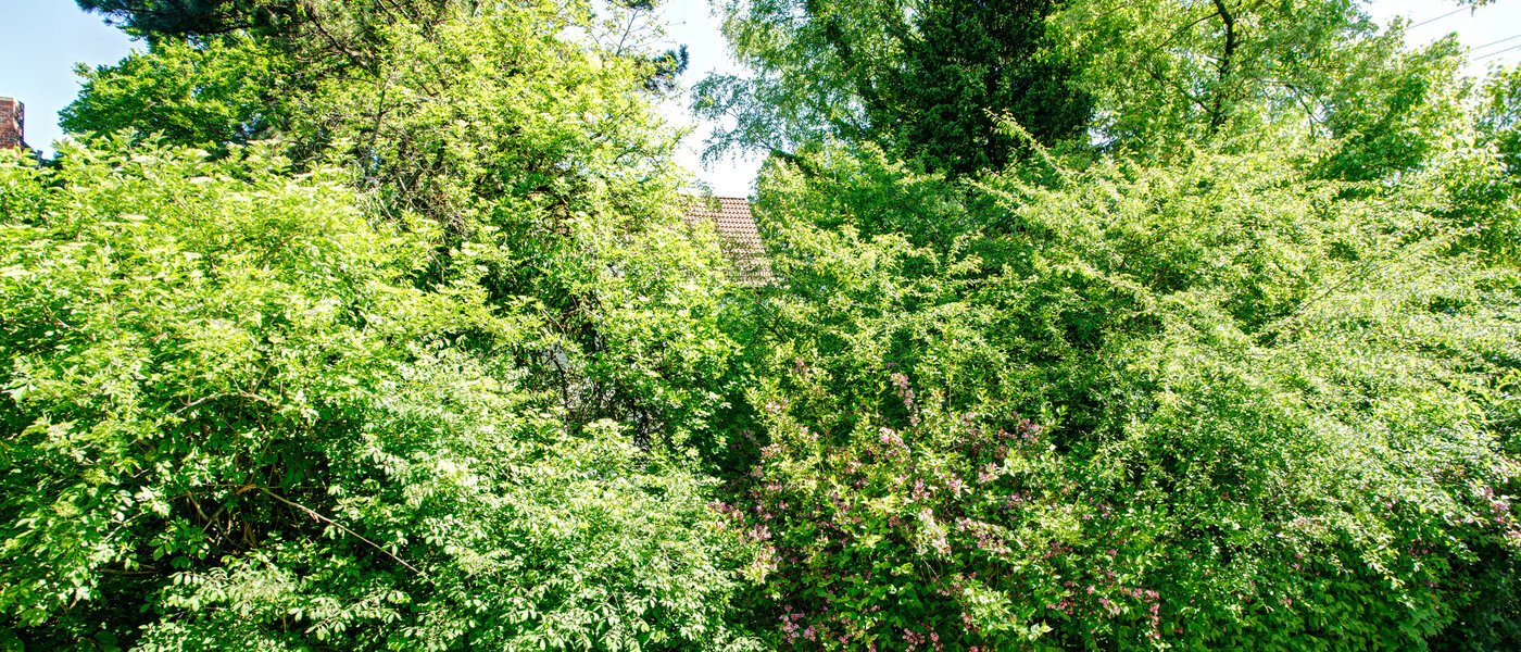 Wohnung München Freimann 04 Aussicht 8673