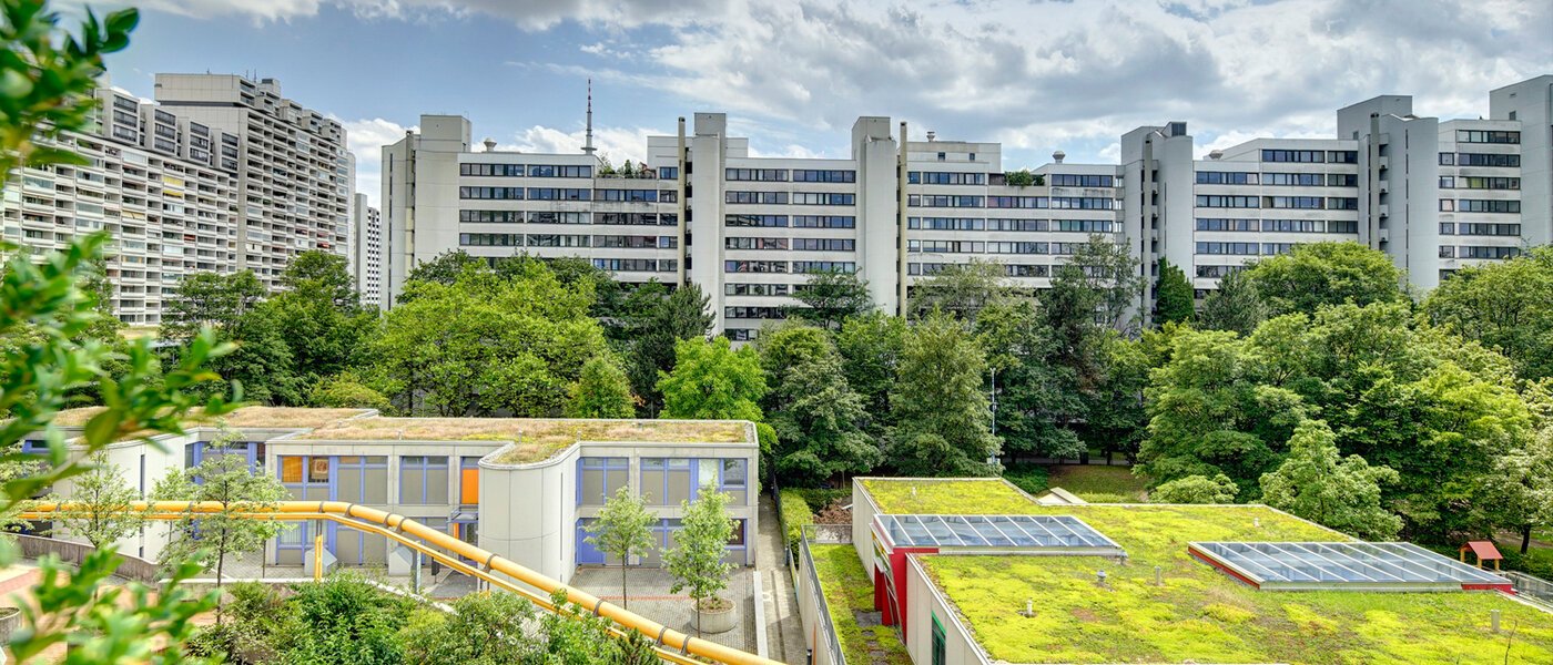Wohnung München Olympiadorf 02 Aussicht 8757