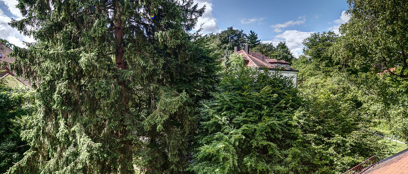 Dachgeschosswohnung München Solln 02 Aussicht 8785