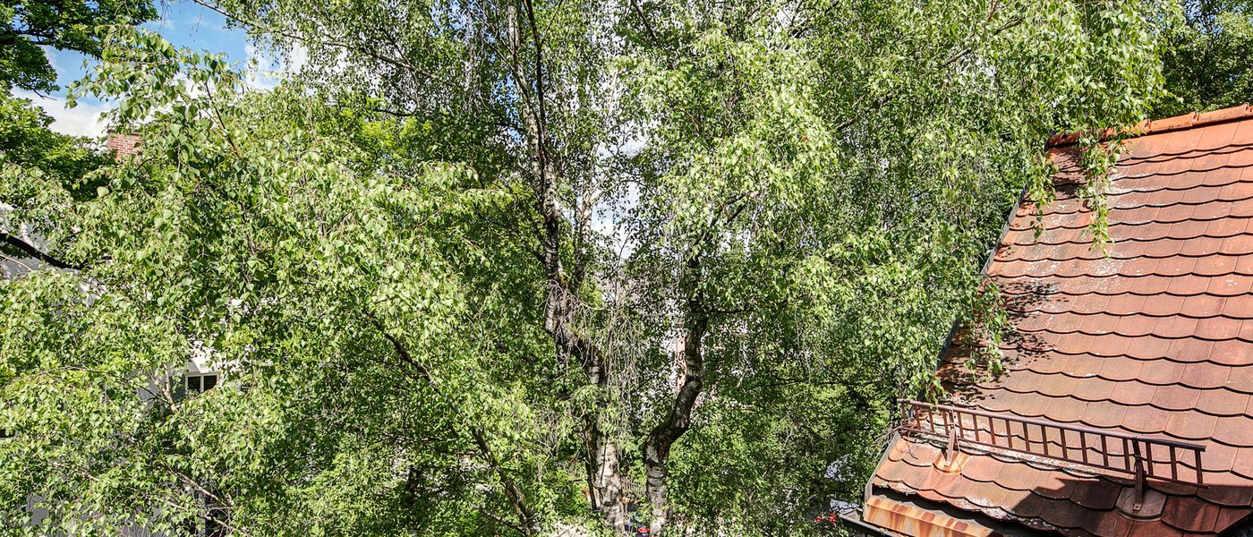 Dachgeschosswohnung München Solln 03 Aussicht 8785