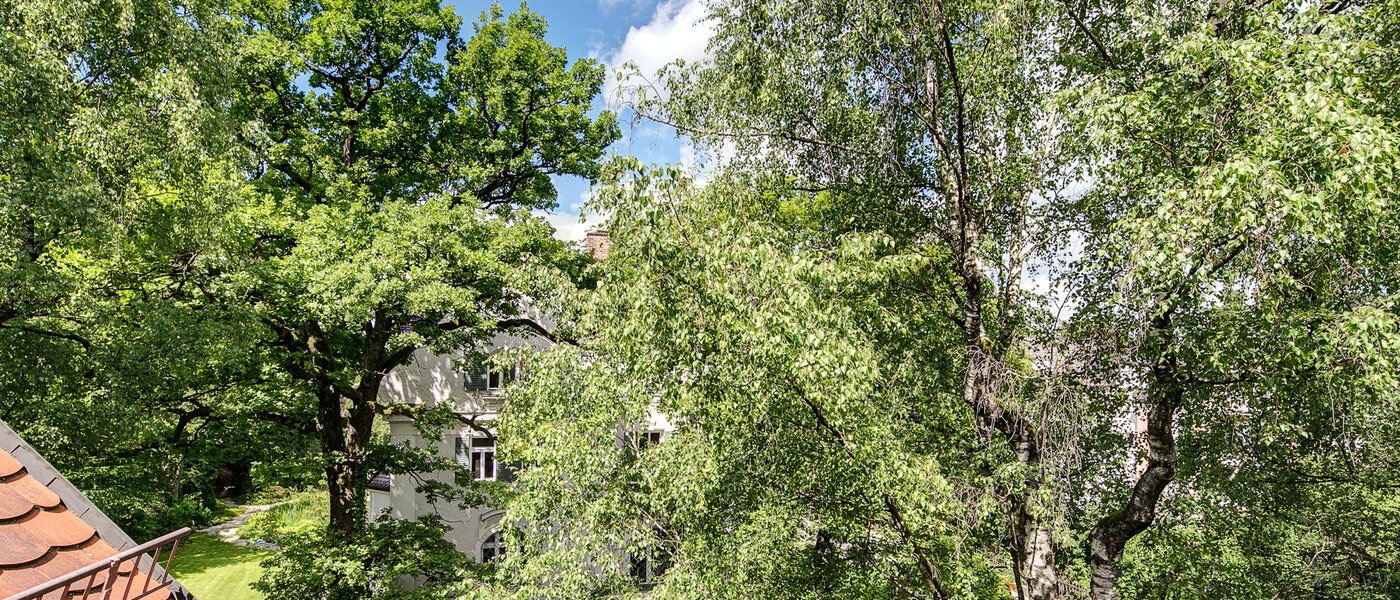 Dachgeschosswohnung München Solln 06 Aussicht 8785