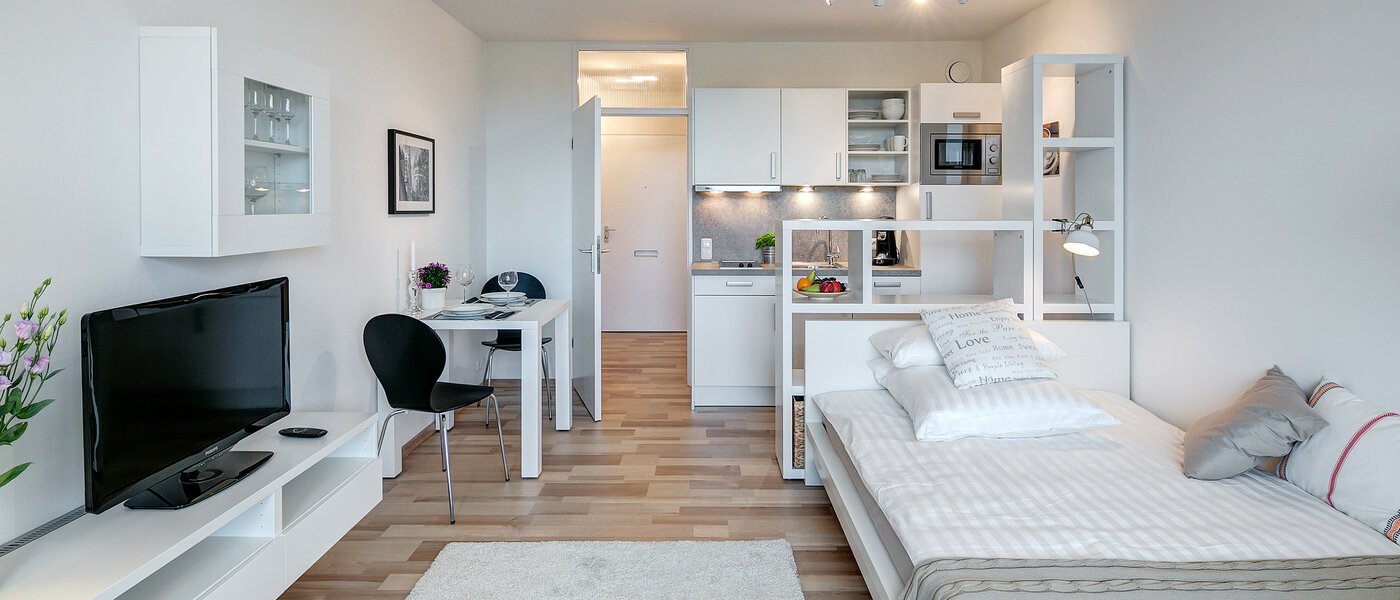 Apartment München Haidhausen 04 Wohnen 8801