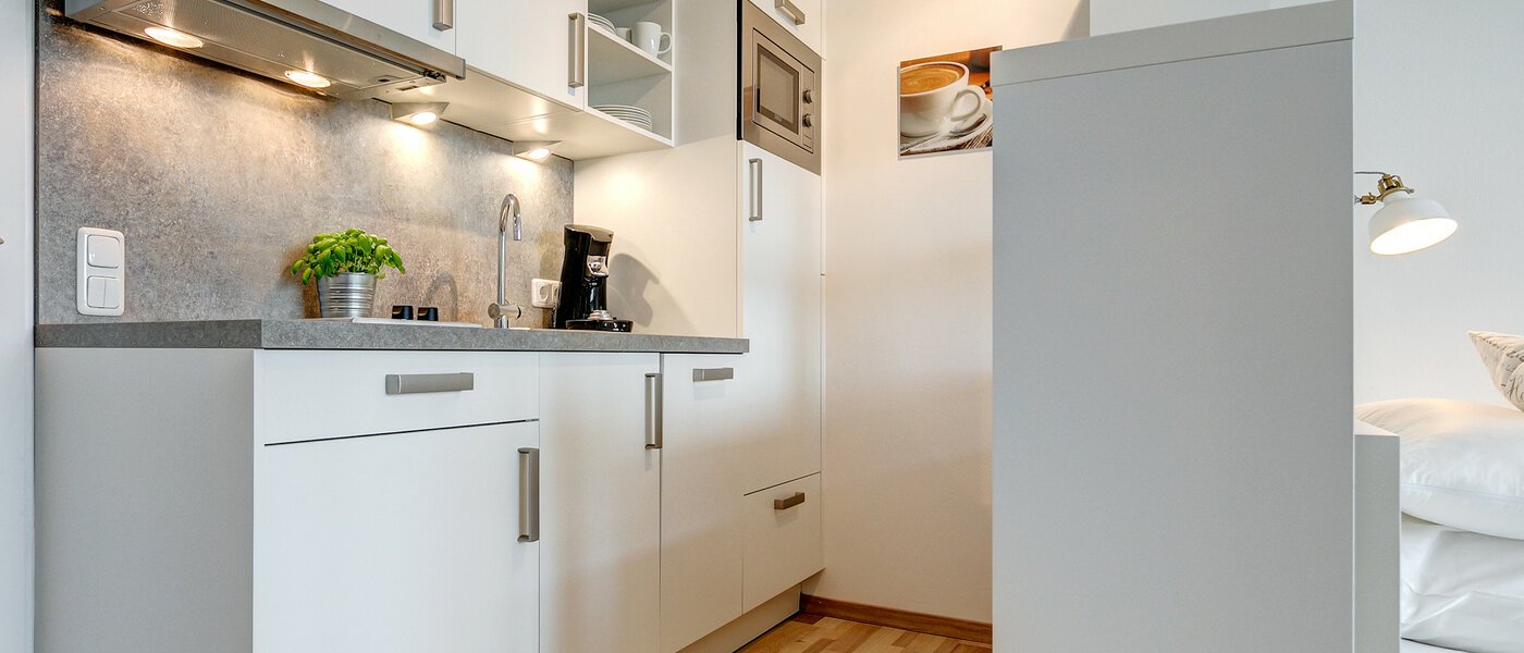 Apartment München Haidhausen 02 Küche 8801