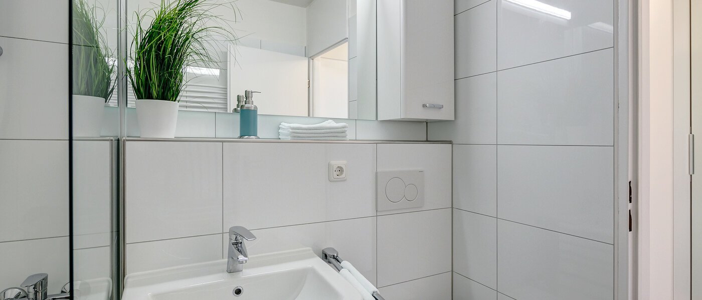Apartment München Haidhausen 03 Badezimmer 8801