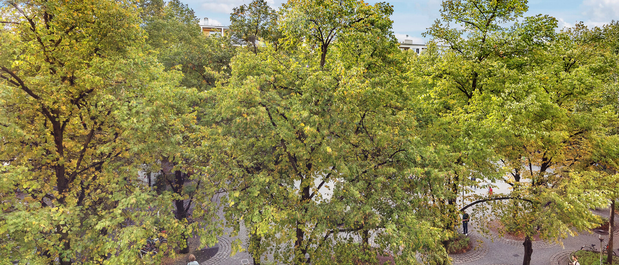 Wohnung München Schwabing-West (rund um den Hohenzollernplatz) 01 Aussicht 8850