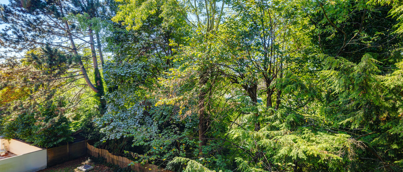 Wohnung München Sendling-Westpark 01 Aussicht 8875