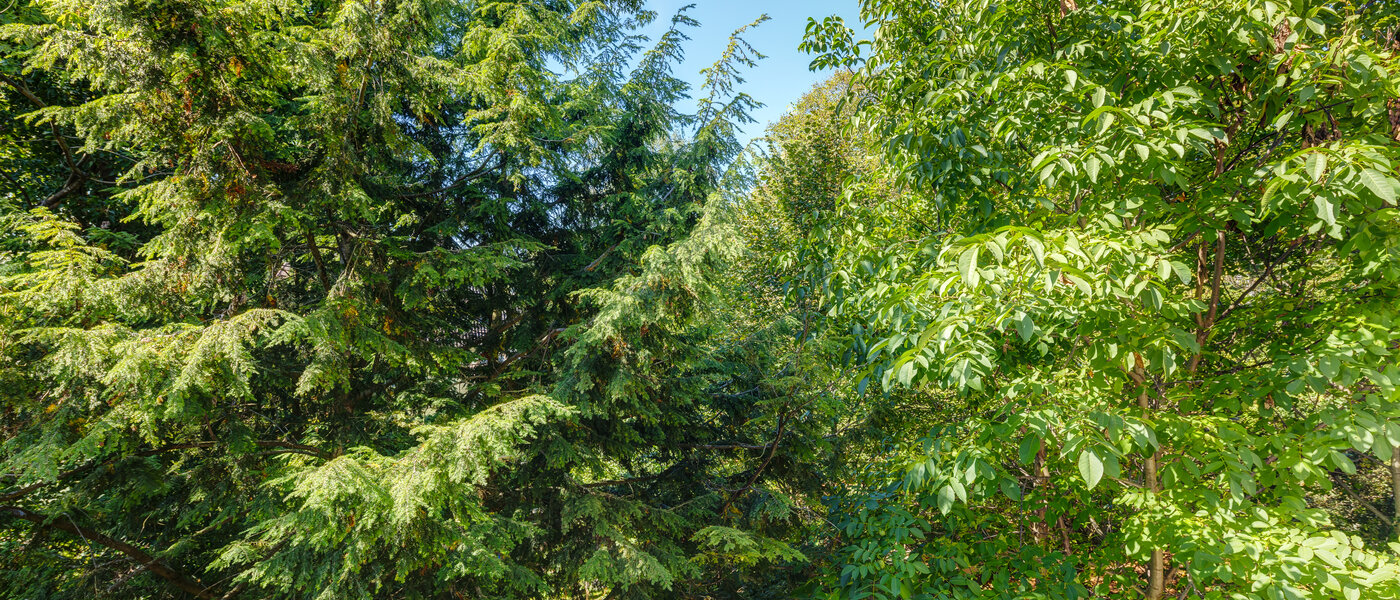 Wohnung München Sendling-Westpark 02 Aussicht 8875