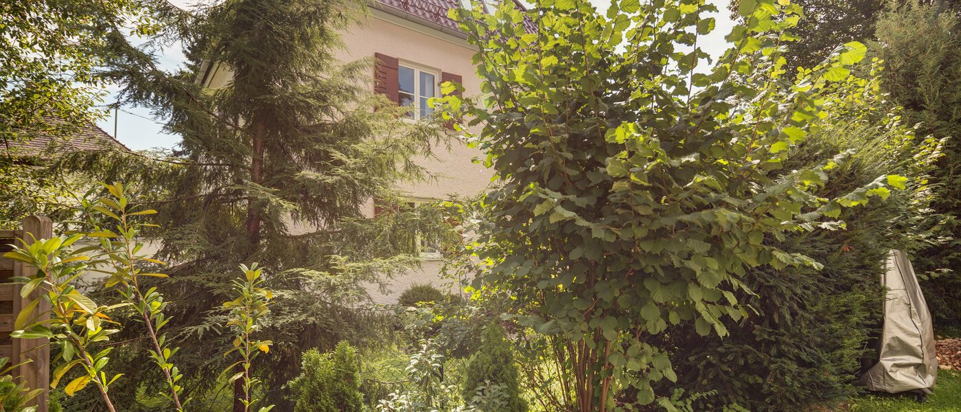 Apartment Gräfelfing 01 Aussicht 8902