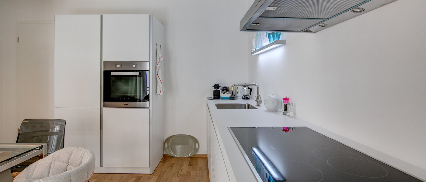Wohnung München Maxvorstadt 03 Küche 8910