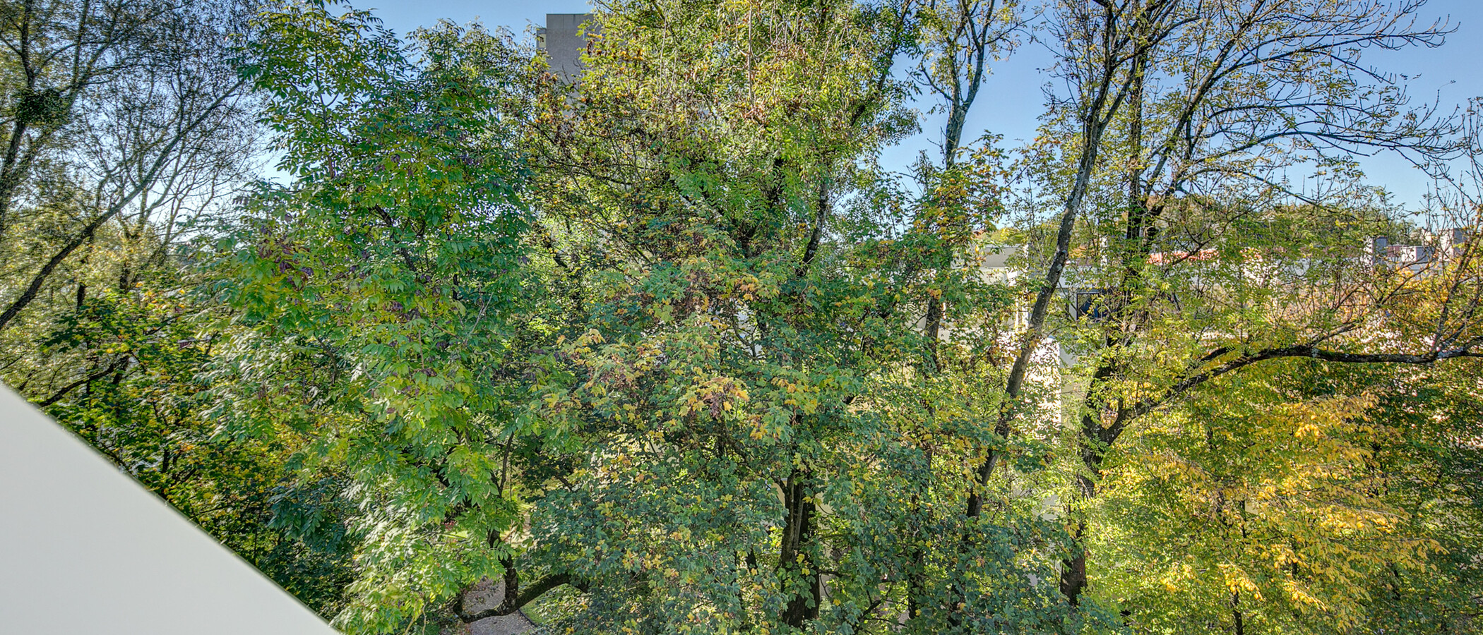 Wohnung München Thalkirchen 01 Aussicht 9000
