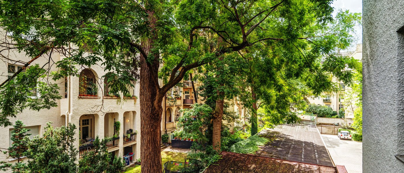 Wohnung München Schwabing-West (rund um den Hohenzollernplatz) 02 Aussicht 9021