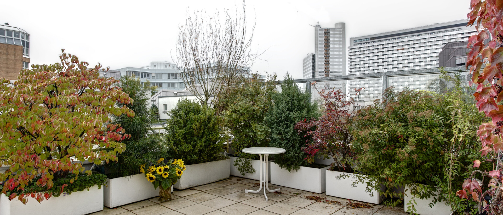 Dachterrassenwohnung München Arabellapark 03 Terrasse 9024