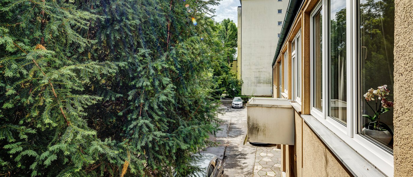 Wohnung München Parkstadt Bogenhausen 03 Aussicht 9045