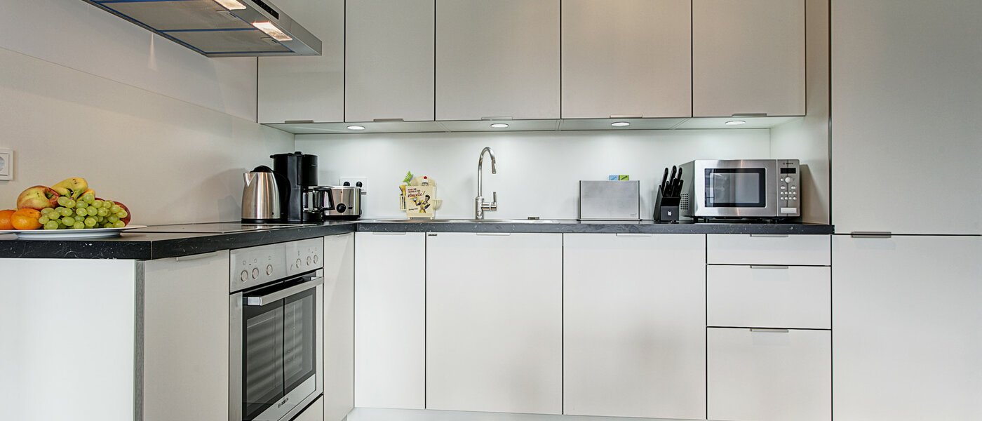 Wohnung München Neuhausen 01 Küche 9058