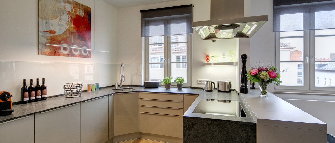 Wohnung München Maxvorstadt - Universitätsviertel 01 Küche 9074