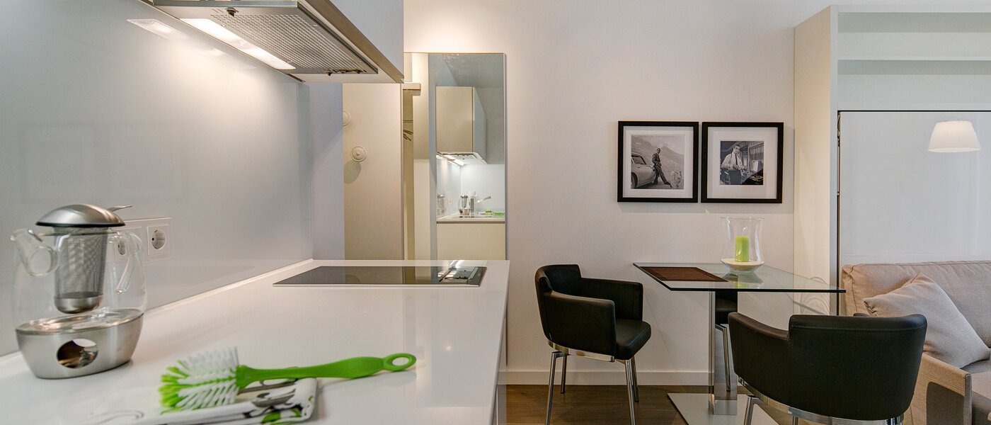 Apartment München Schwabing-Nord (zw. Leopoldstraße & Englischen Garten) 04 Küche 9075