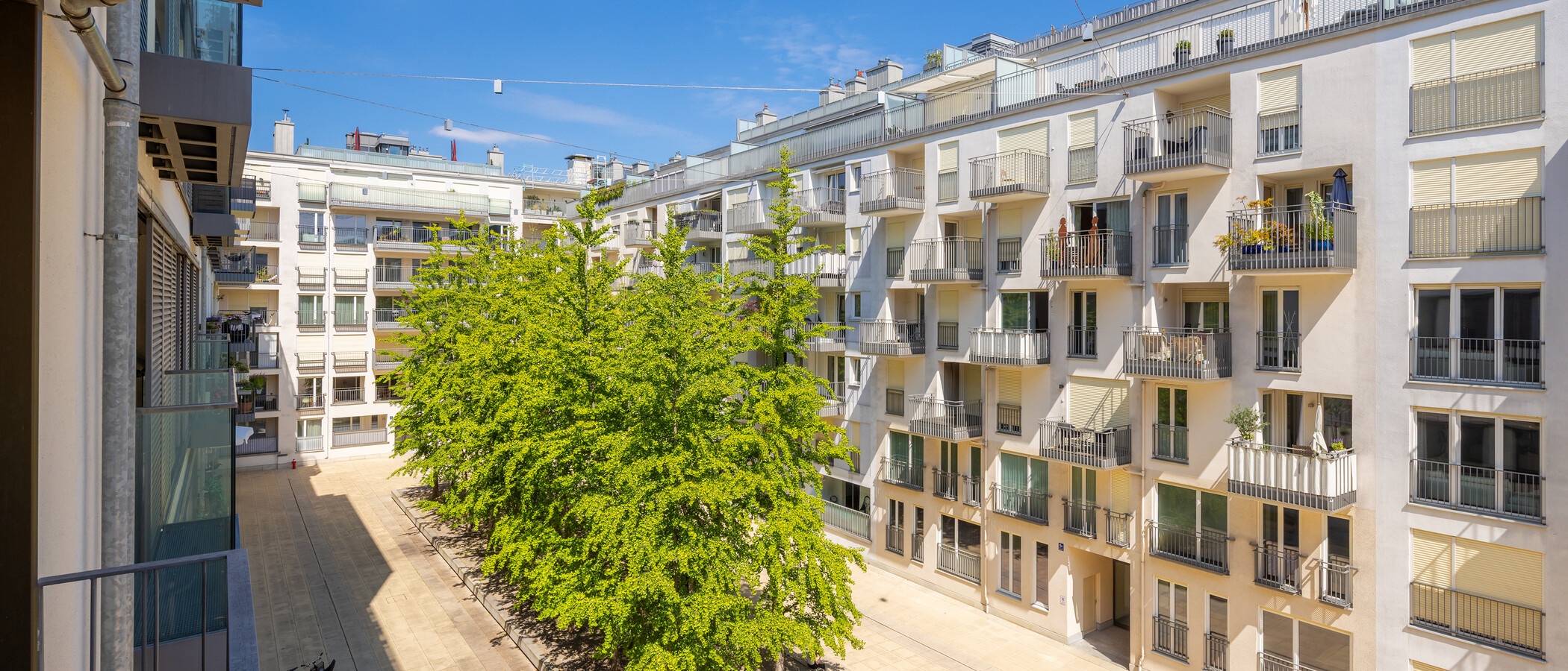 Wohnung München Maxvorstadt 03 Aussicht 9128