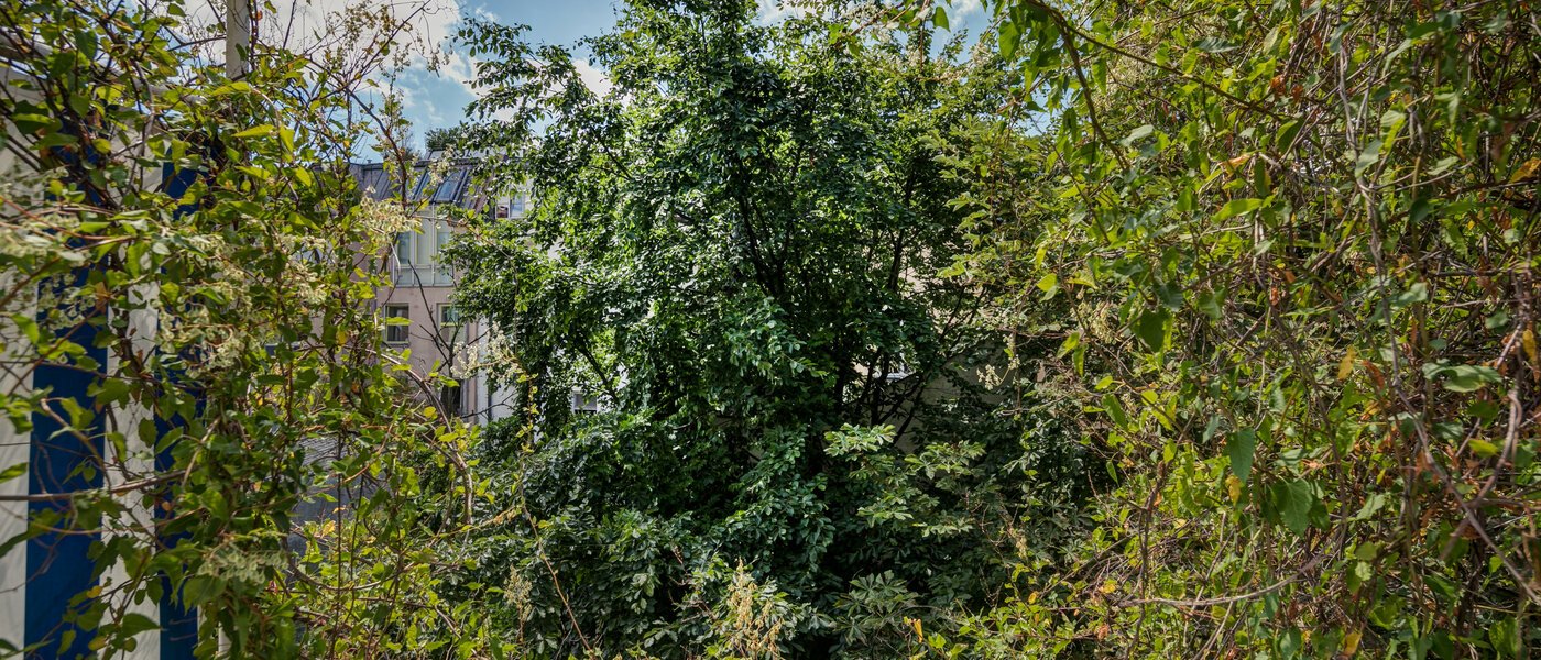 Apartment München Schwabing 02 Aussicht 9272