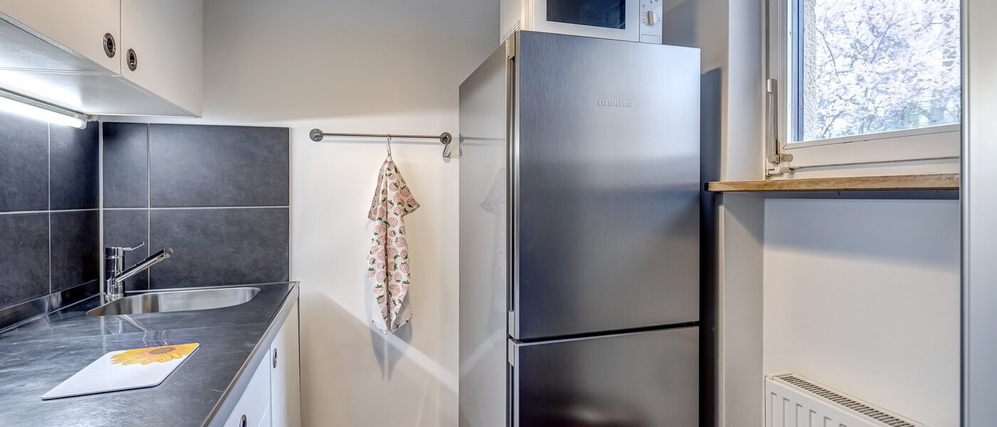 Wohnung München Moosach 02 Küche 9358