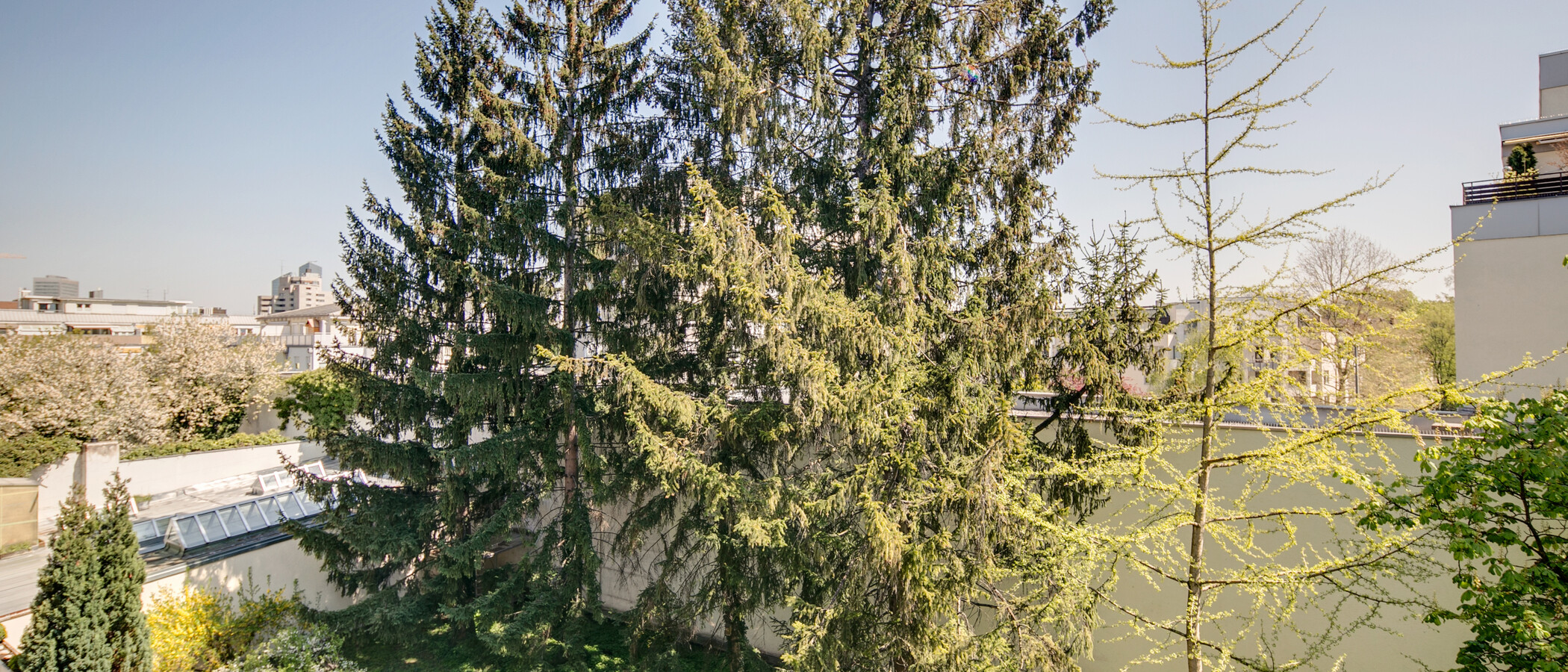 Wohnung München Schwabing (rechts der Leopoldstraße) 01 Aussicht 9457