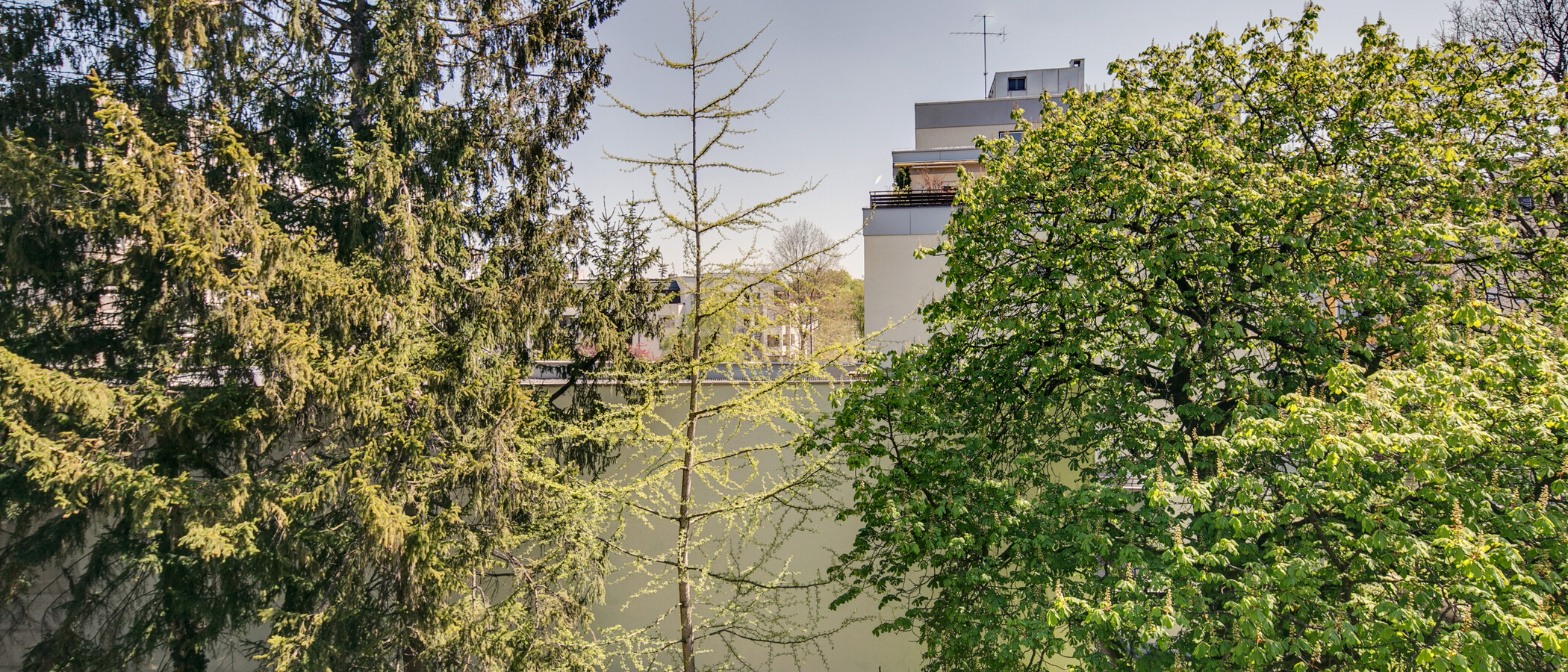 Wohnung München Schwabing (rechts der Leopoldstraße) 02 Aussicht 9457