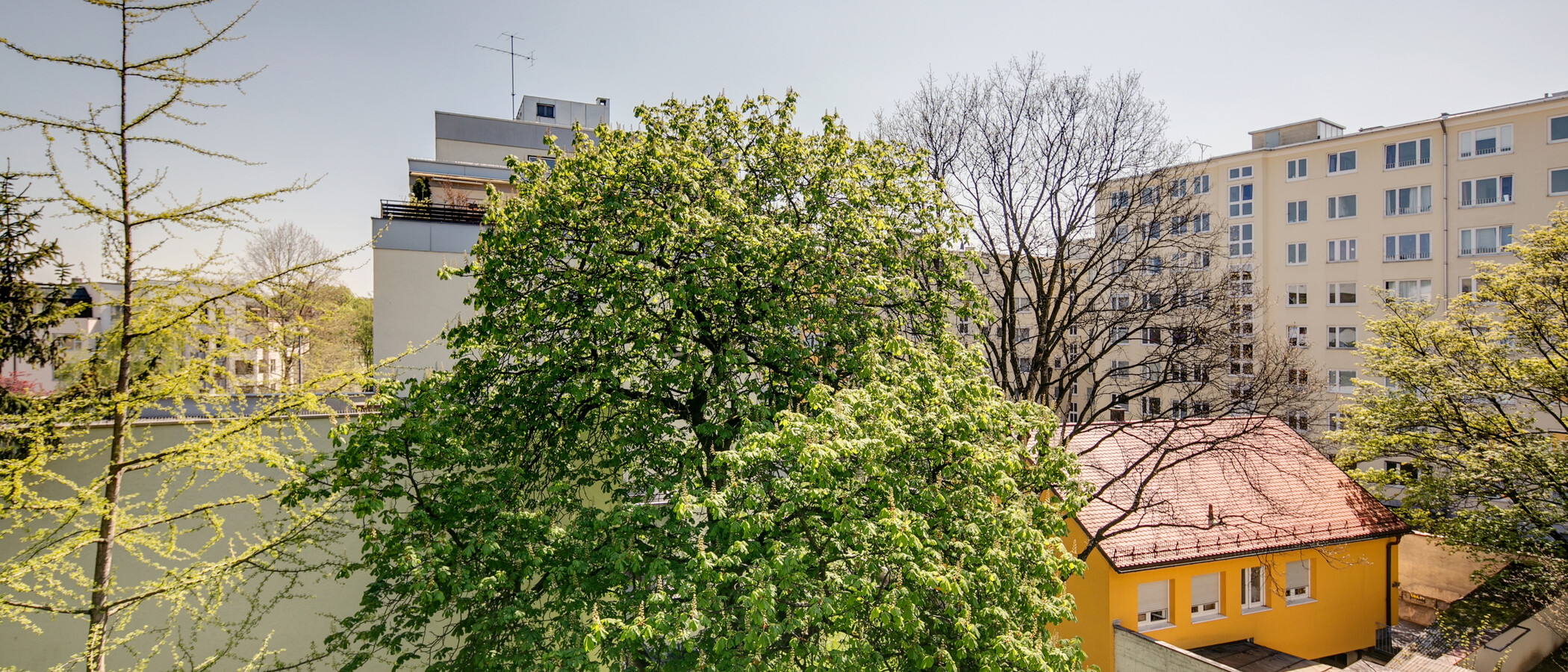 Wohnung München Schwabing (rechts der Leopoldstraße) 03 Aussicht 9457