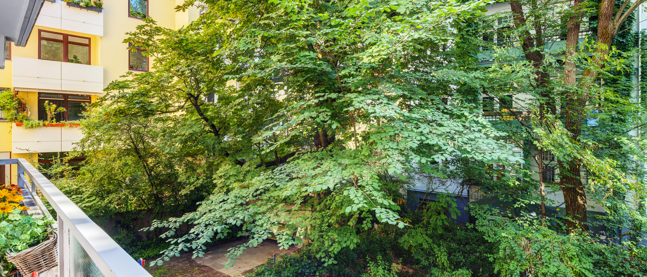 Wohnung München Lehel 01 Aussicht 9663