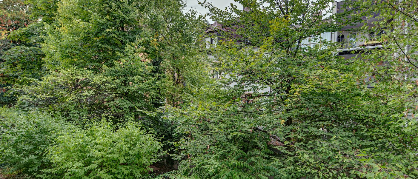 Wohnung München Haidhausen 01 Aussicht 9683