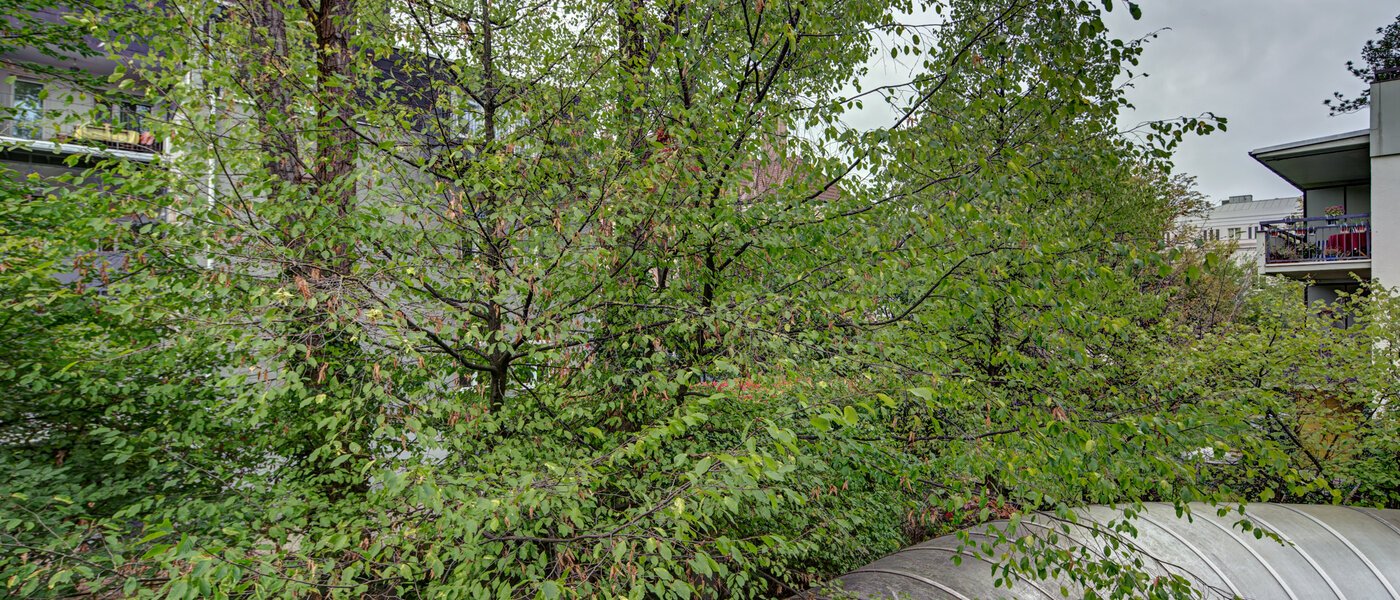 Wohnung München Haidhausen 02 Aussicht 9683