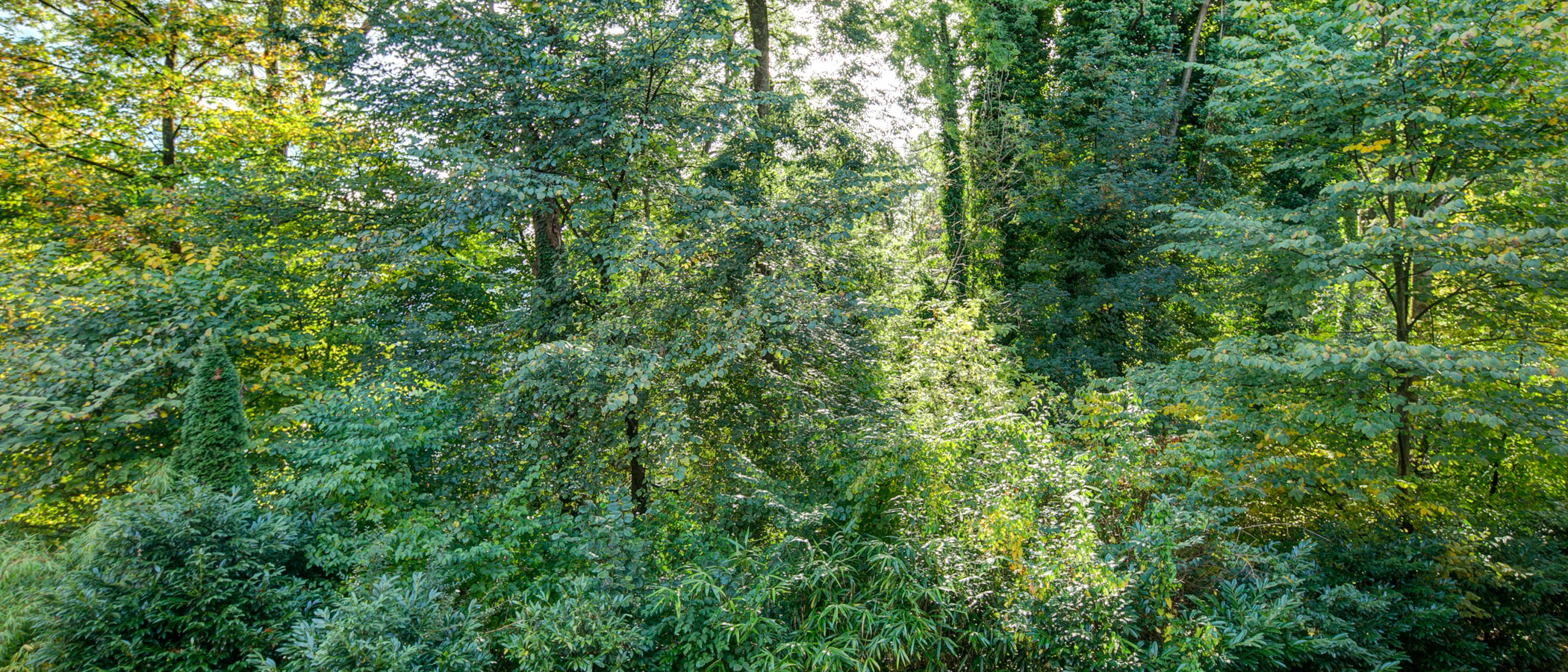 Wohnung München Herzogpark 02 Aussicht 9714