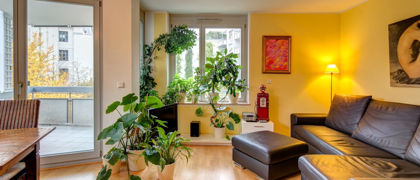 Leider nicht mehr verfügbar