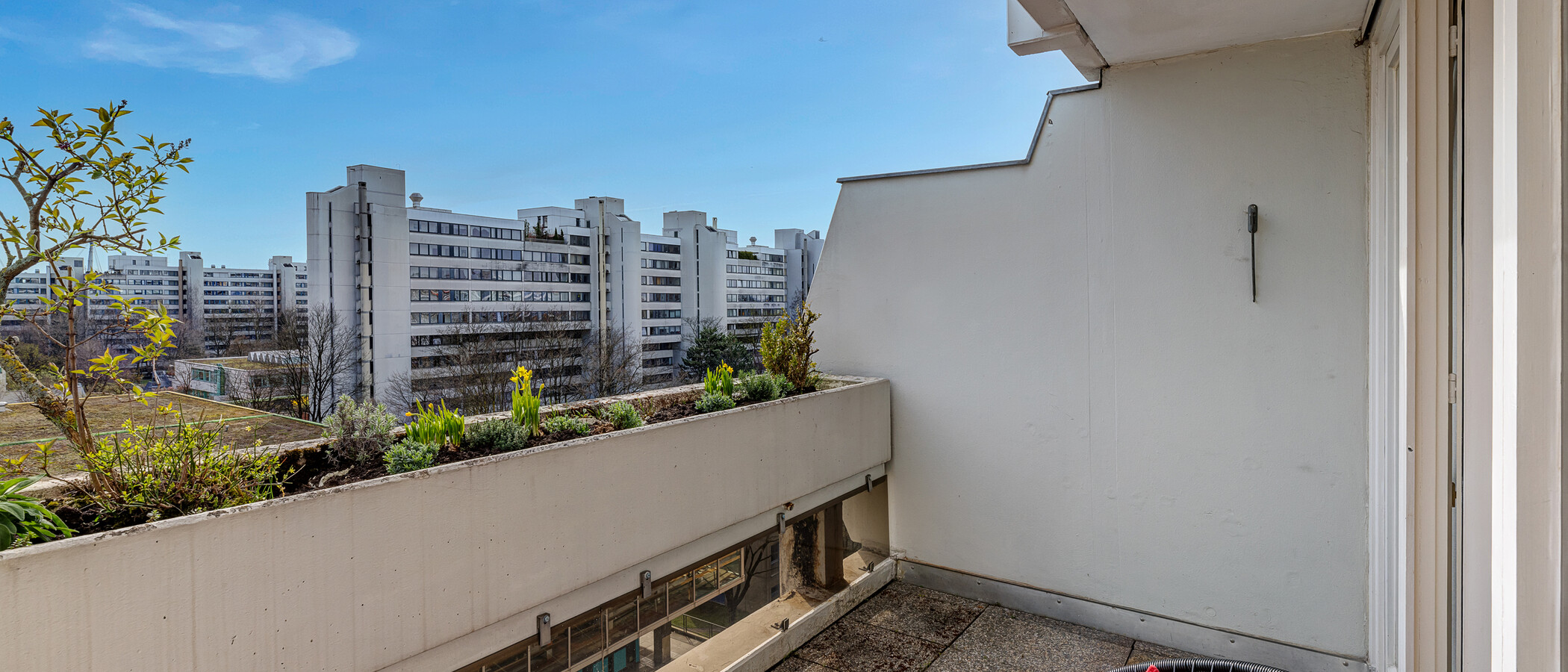 Wohnung München Olympiadorf 03 Balkon 9781